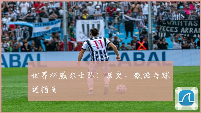 世界杯威尔士队：历史、数据与球迷指南
