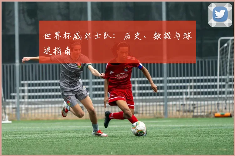 世界杯威尔士队:历史、数据与球迷指南